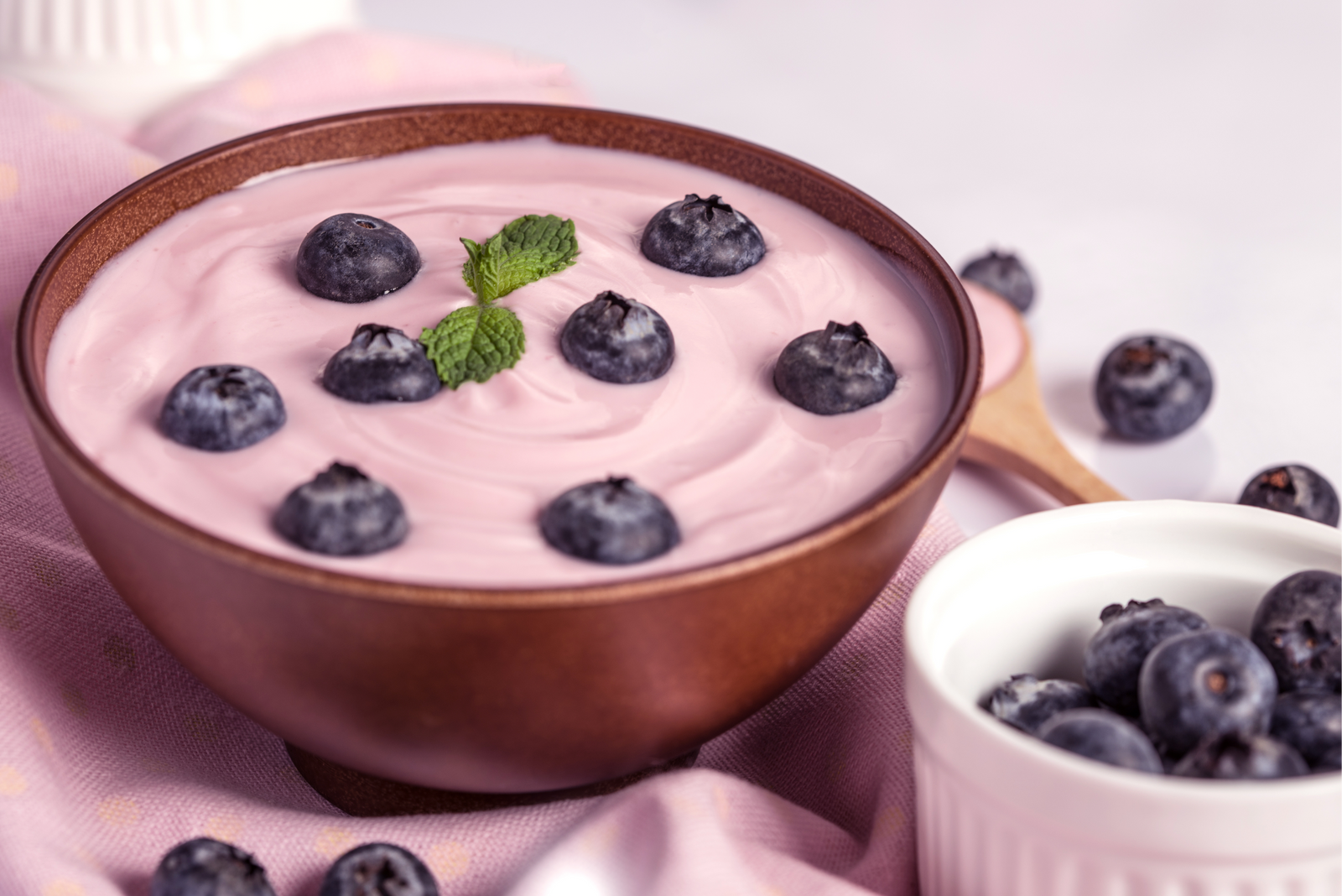 Indian Sweet: Berry Shrikhand