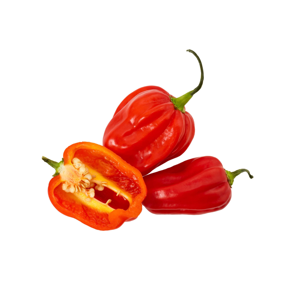 Chilli Habanero