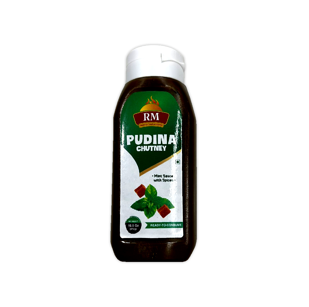 RM PUDINA CHUTNEY