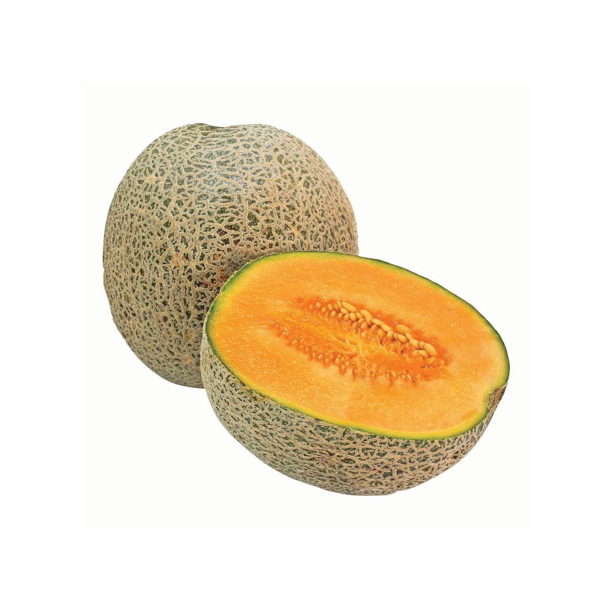 CANTALOUPE