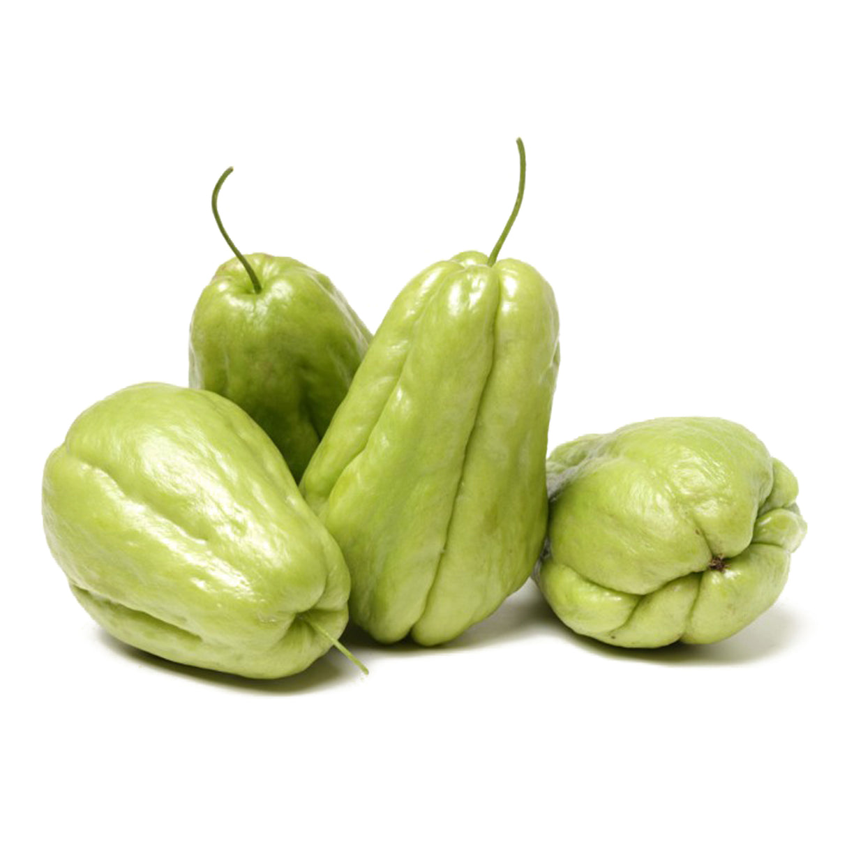 CHAYOTE