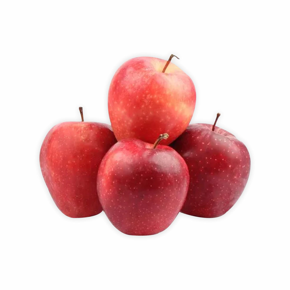 APPLE GALA