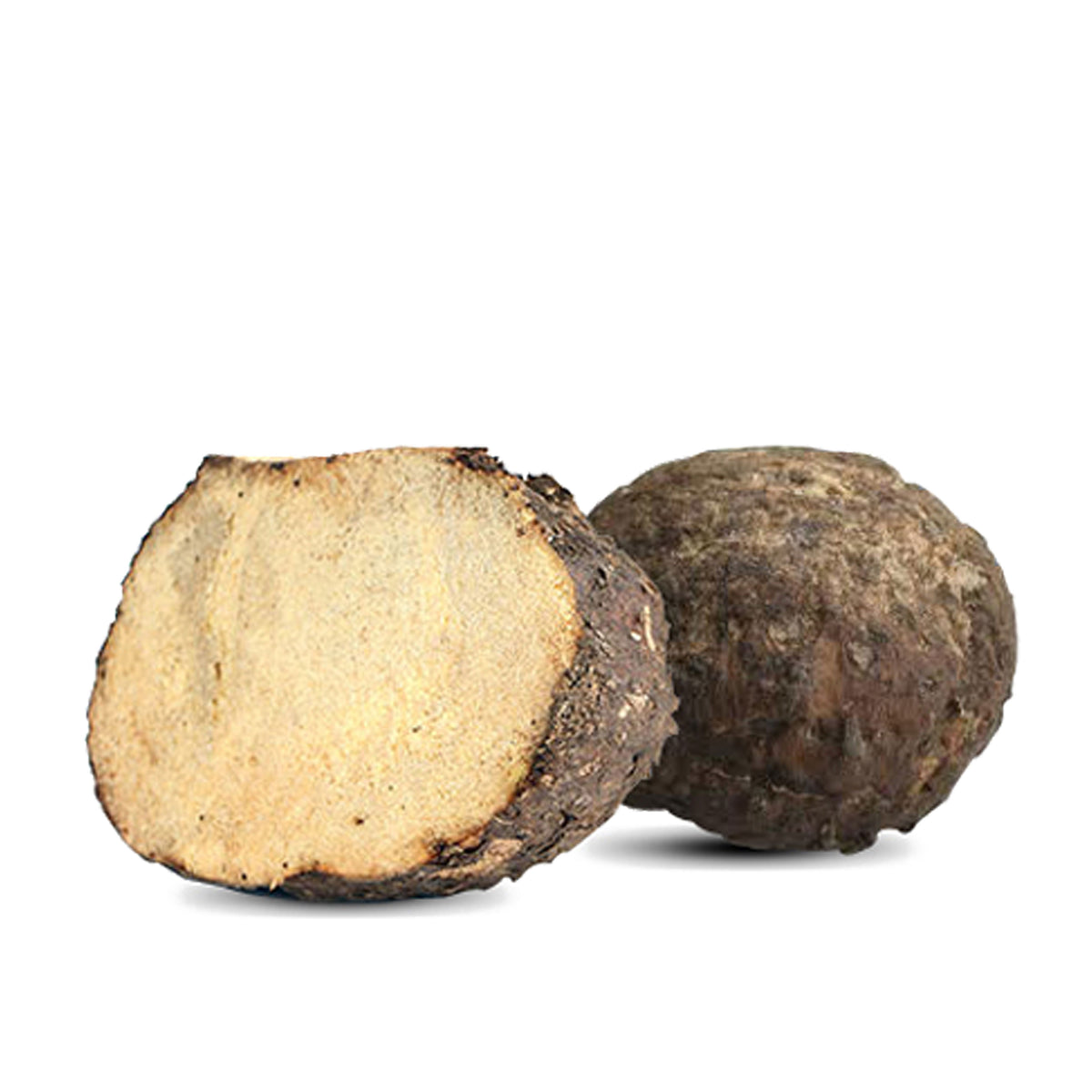 suran plant seeds SURAN – New Indian Supermarket, Tracy