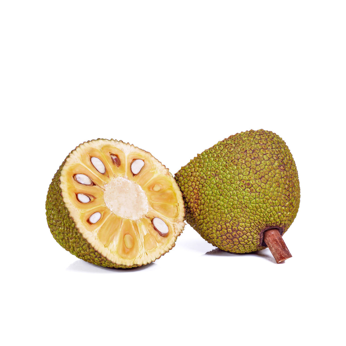 DAILY DELIGHT TENDER JACK