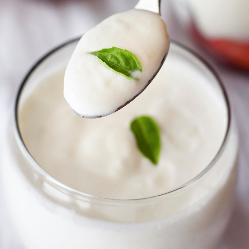 Yogurt/Dahi