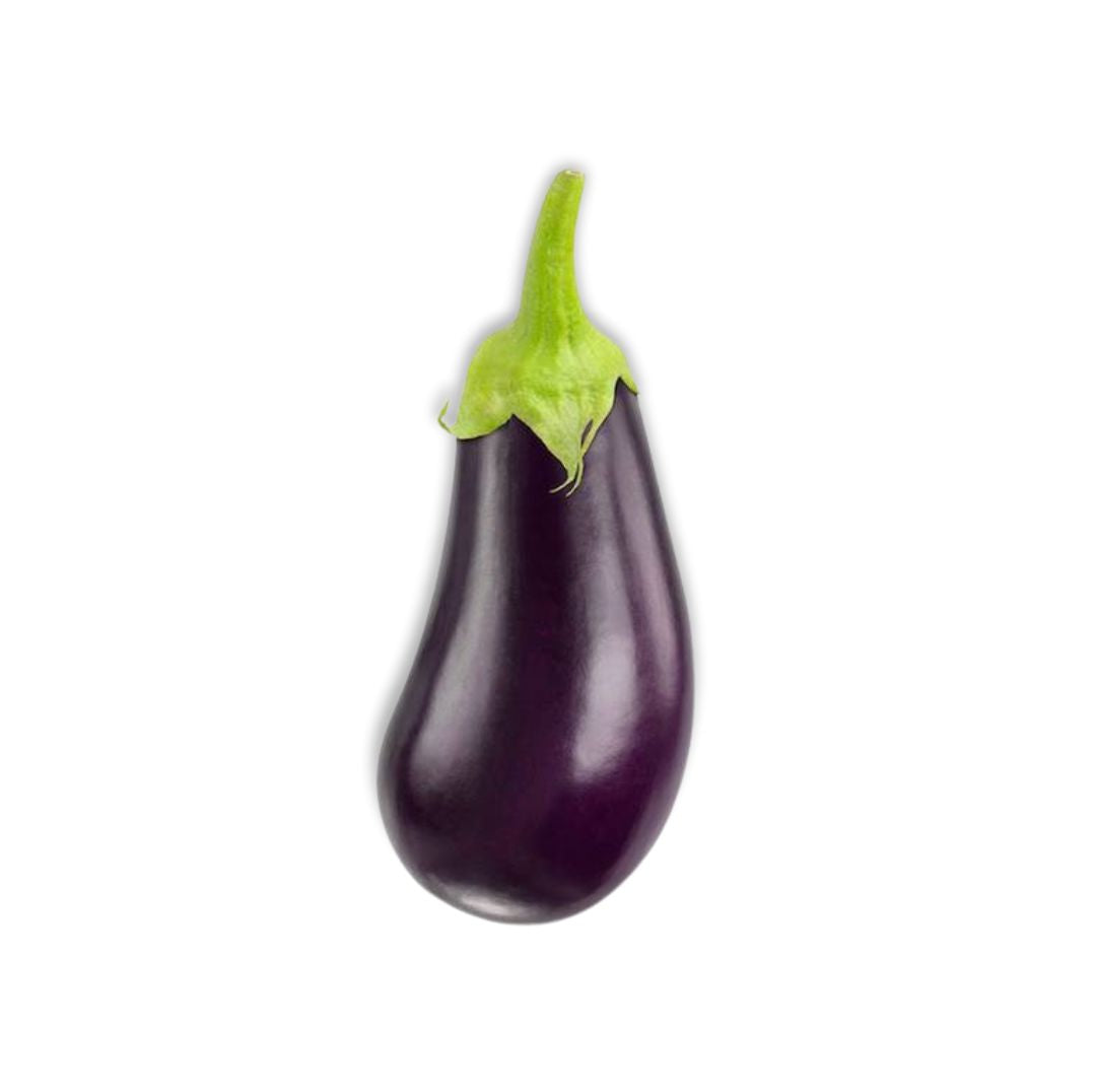 AMERICAN  EGGPLANT