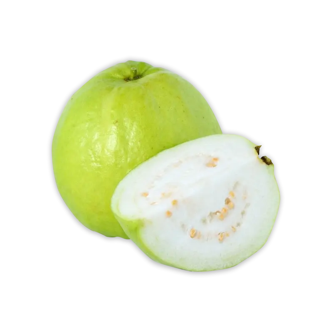 GUAVA