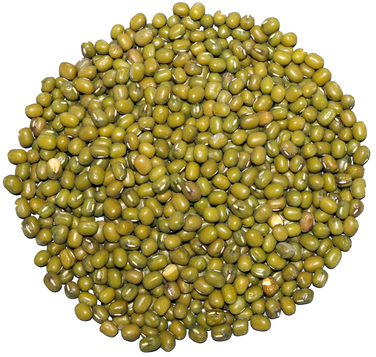 DWARAKA ORGANIC MOONG BEAN SPLIT