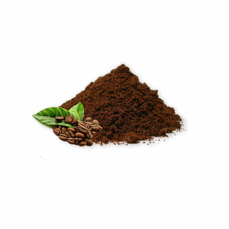 SHASTHA SUKKU COFFEE POWDER