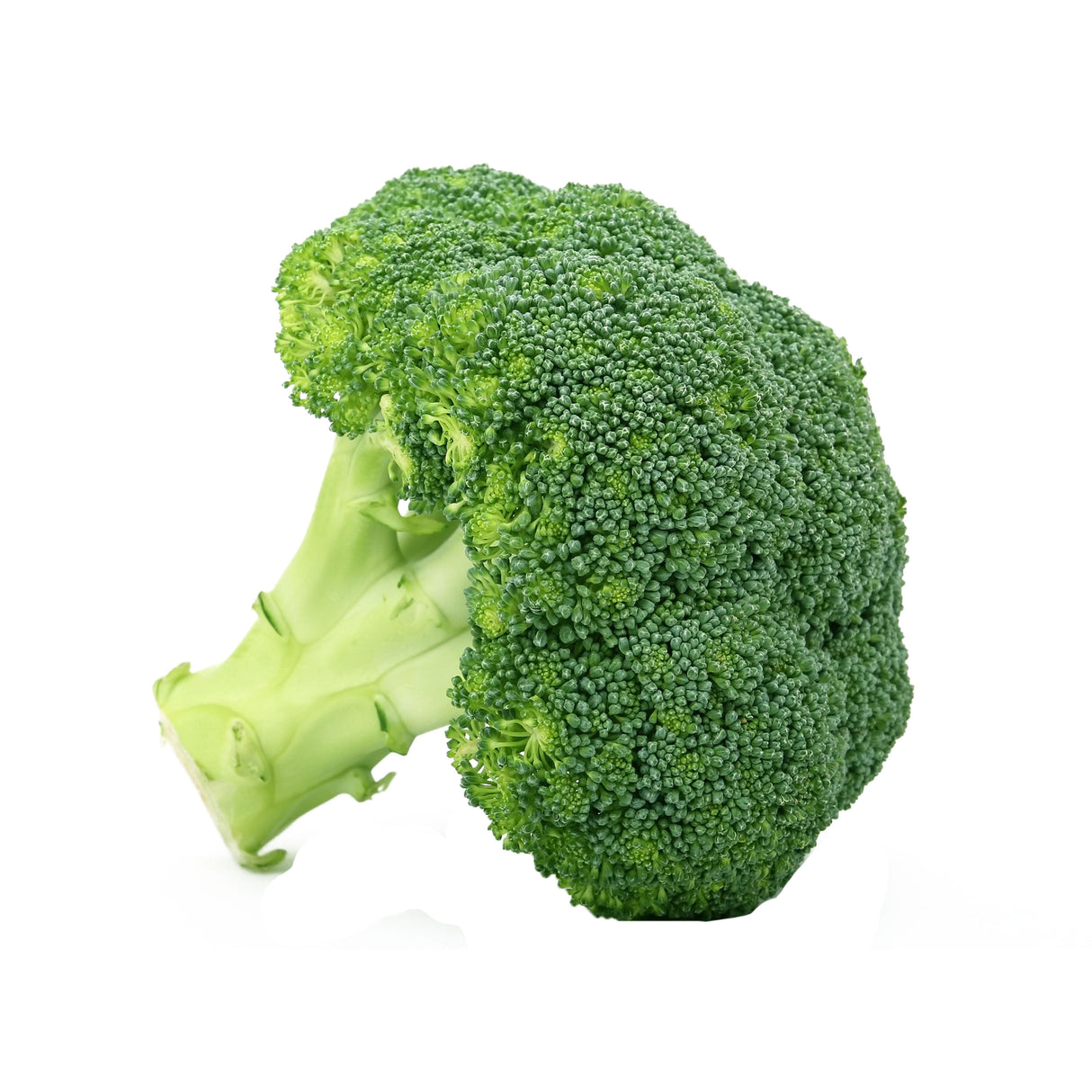 BROCCOLI