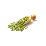 JIVA ORGANICS ORGANIC GREEN CARDAMOM