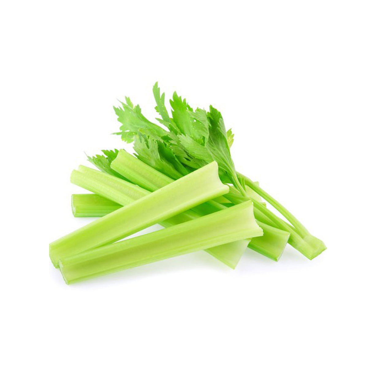 CELERY