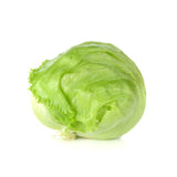 CELLO LETTUCE