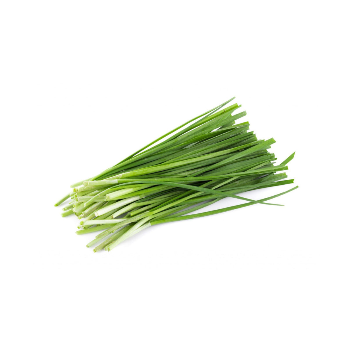 CHIVES