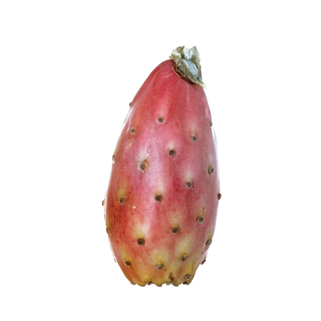 CACTUS FRUIT