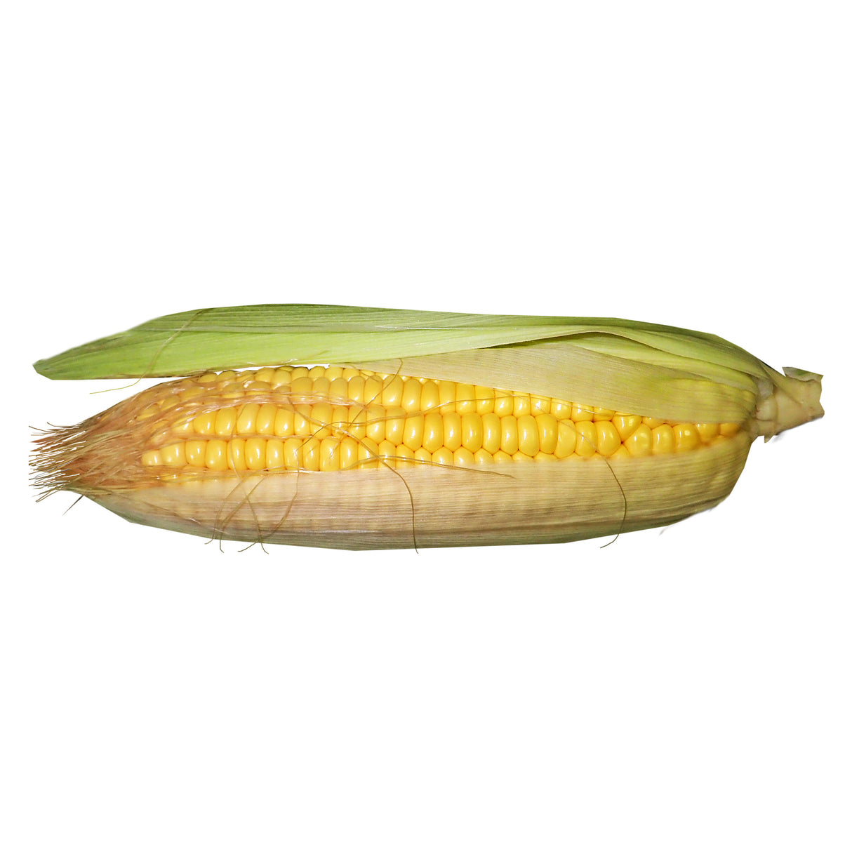 CORN