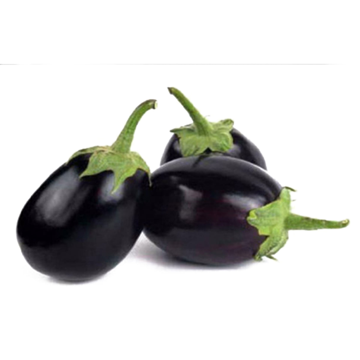 ROUND EGGPLANT