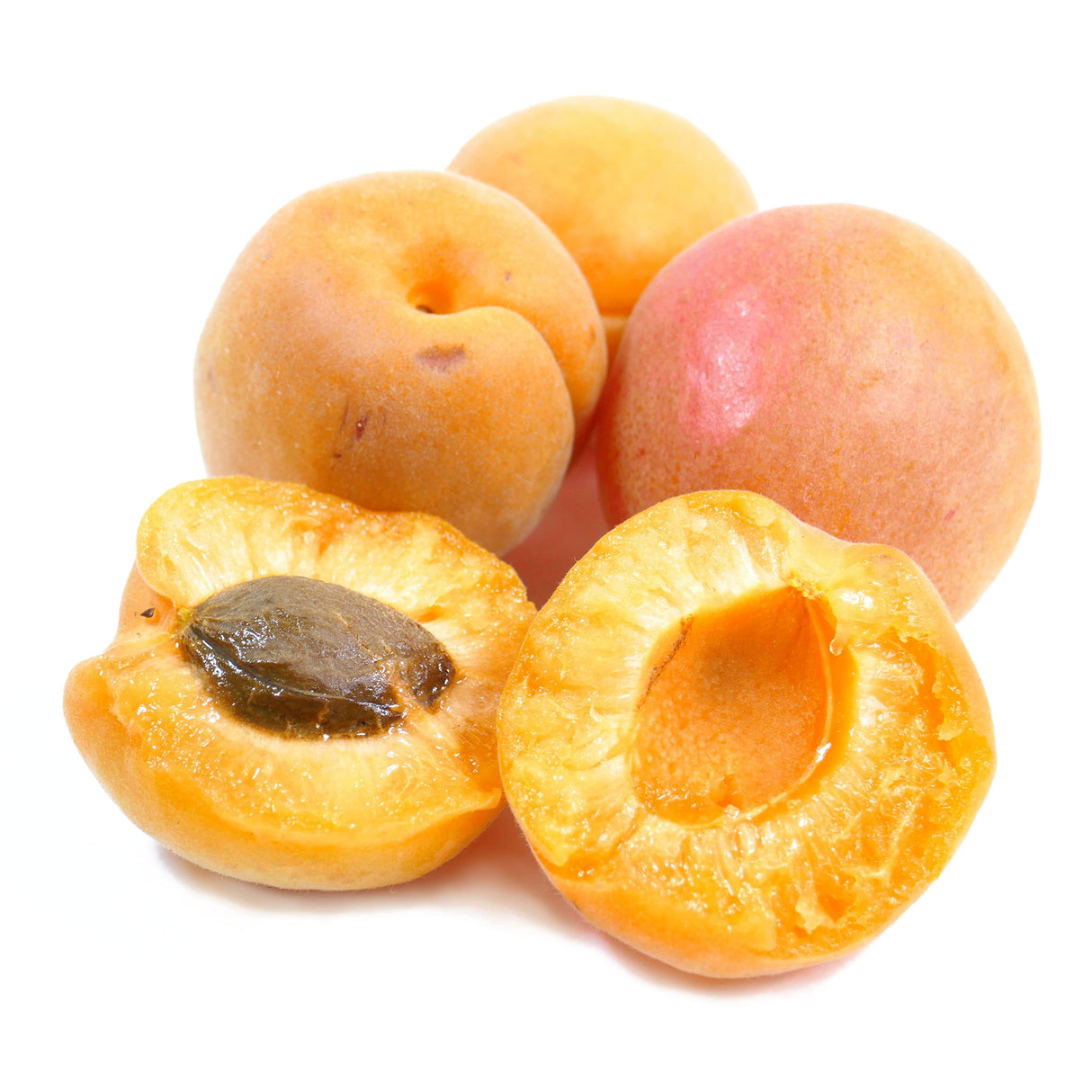 FRESH APRICOT