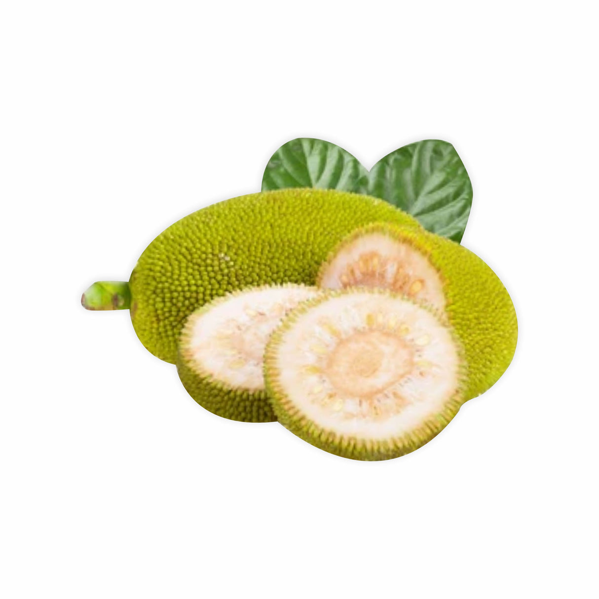 GREEN JACKFRUIT