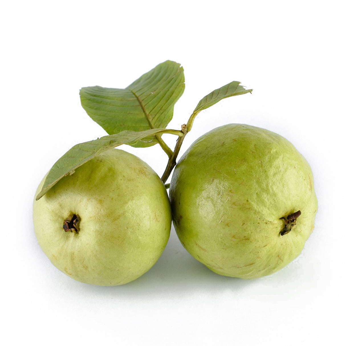 THAI GUAVA