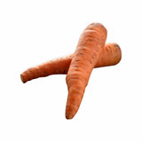 INDIAN CARROT