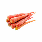 INDIAN CARROT