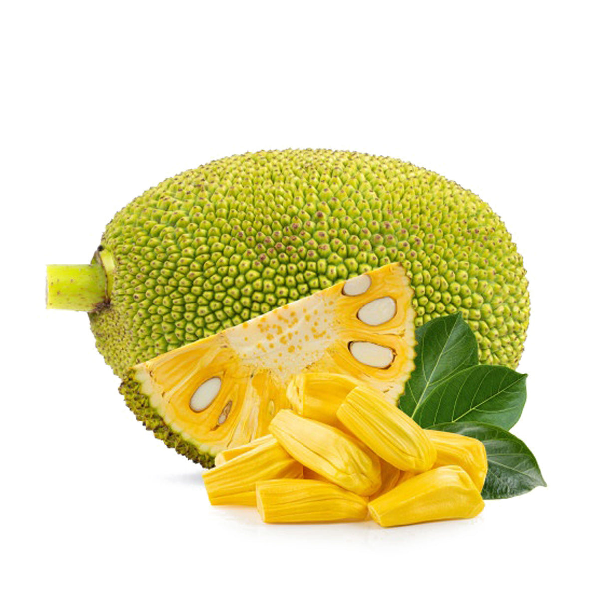 JACKFRUIT