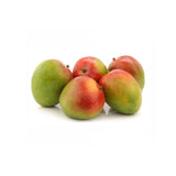 KENT MANGO (Pack of 7)