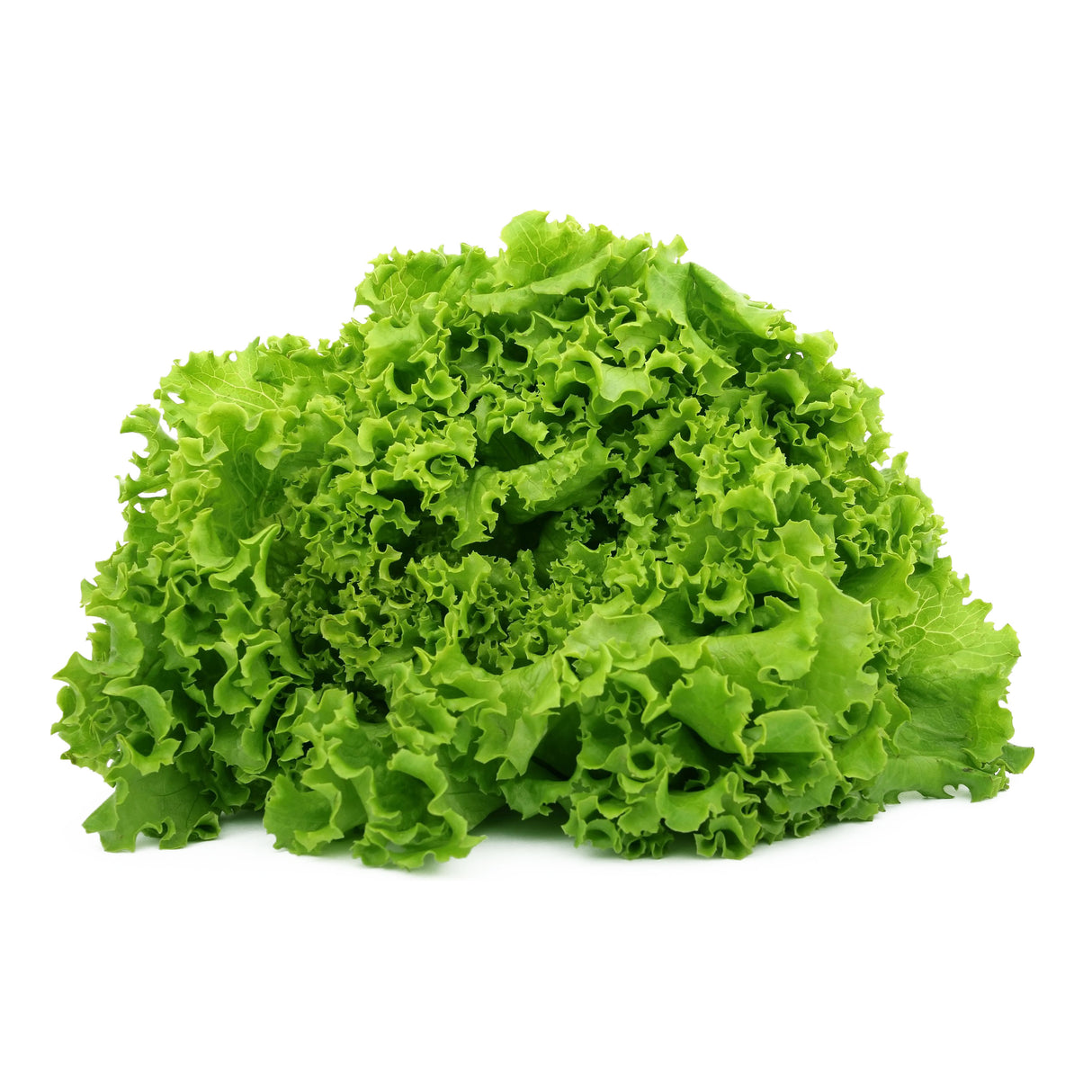 LETTUCE