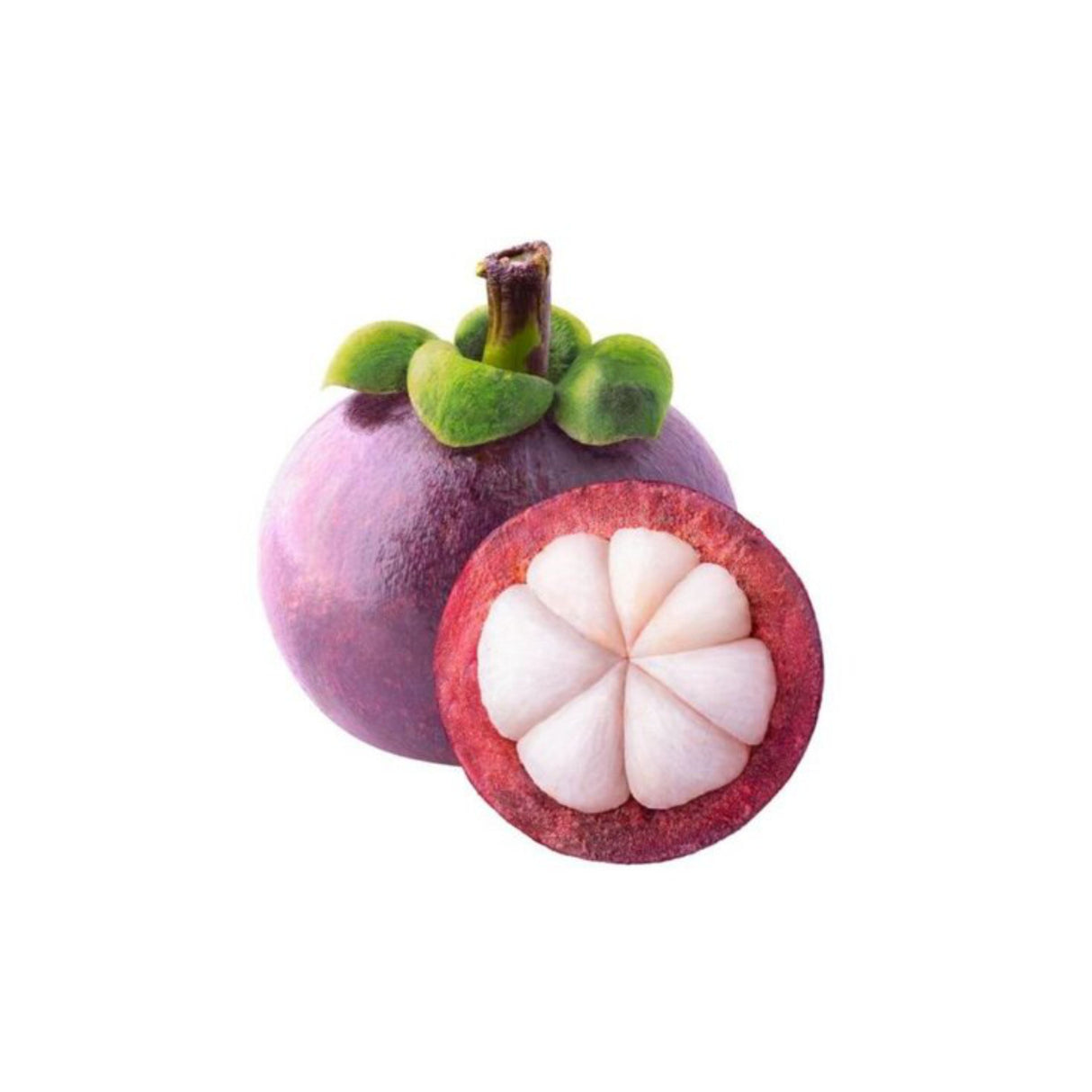 MANGOSTEEN