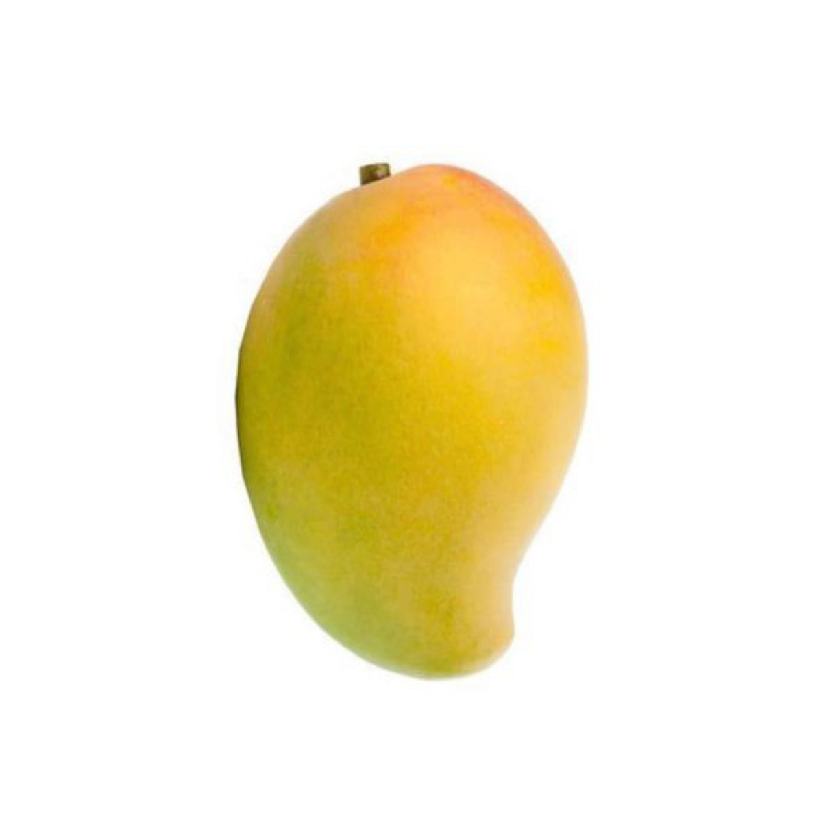 Mango Mingolo