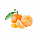 MURCOTT MANDARIN