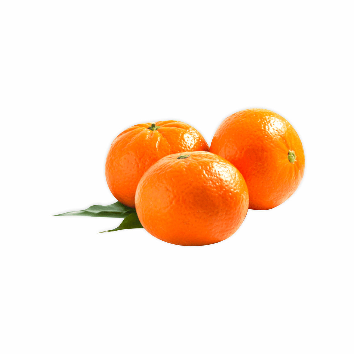 MURCOTT MANDARIN