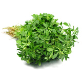 METHI