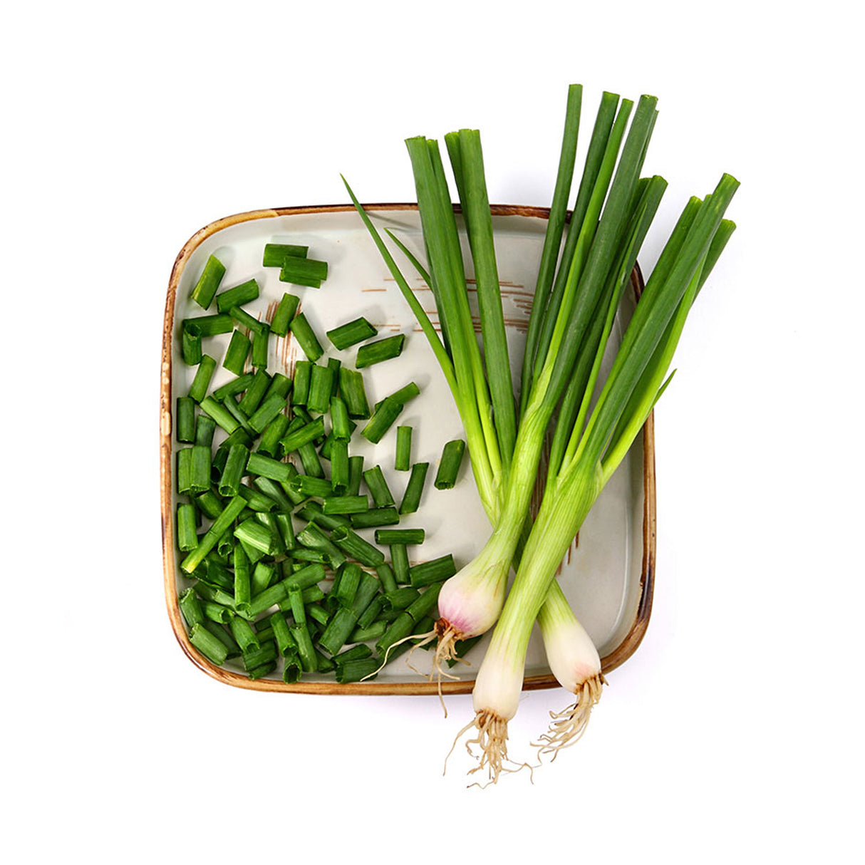 GREEN ONION