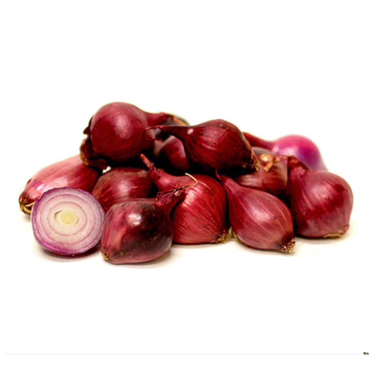 ONION RED PEARL