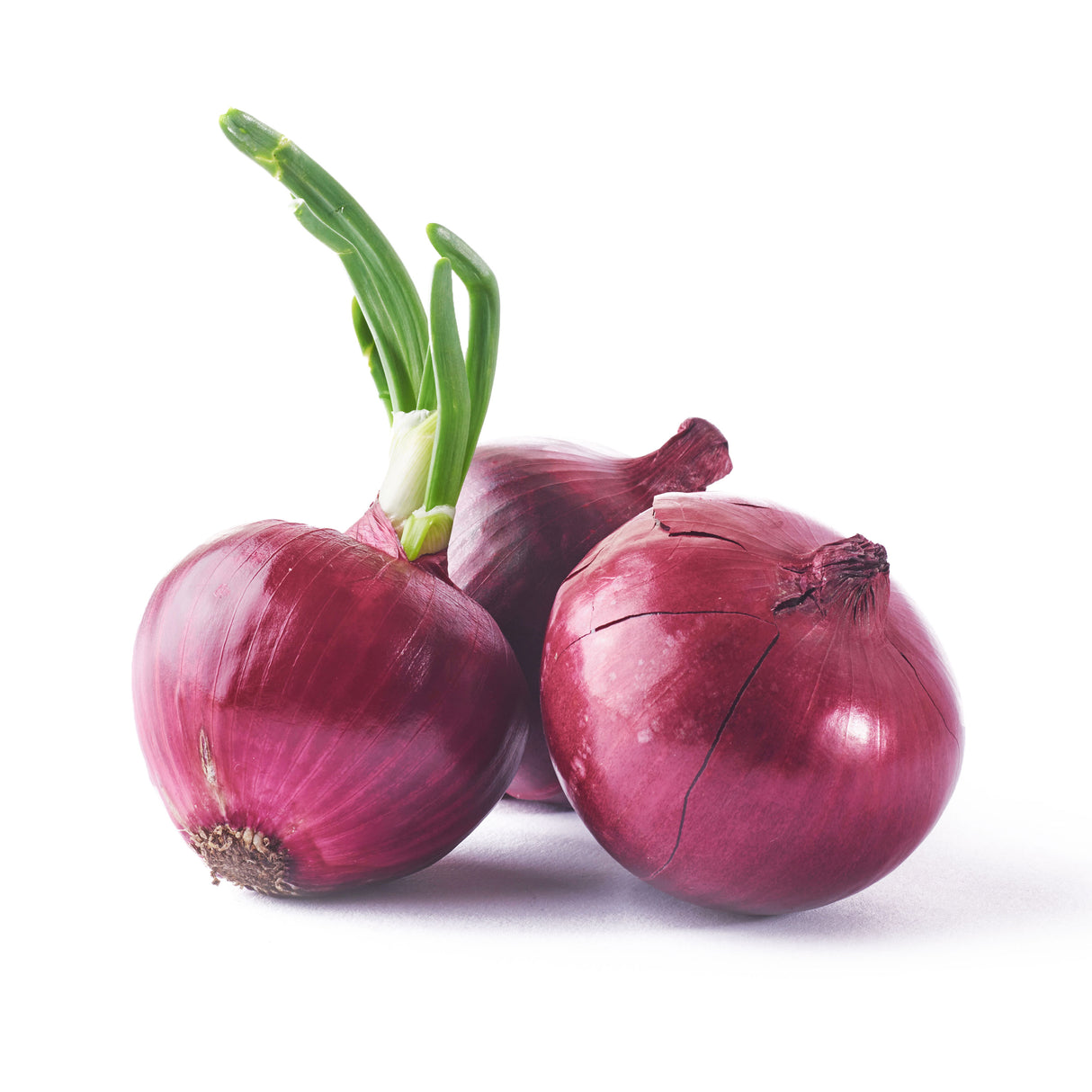 RED ONION BAG