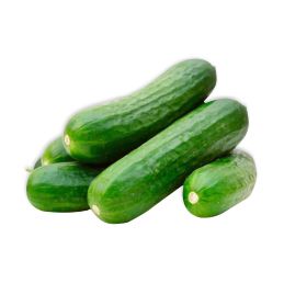 PERSIAN CUCUMBER