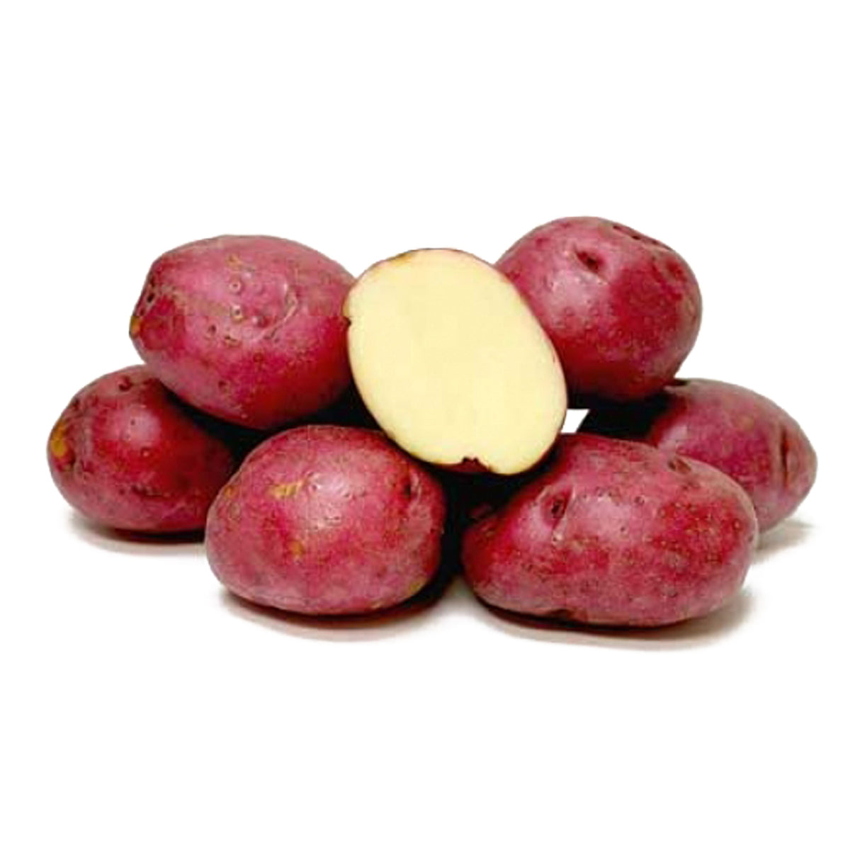 POTATO RED