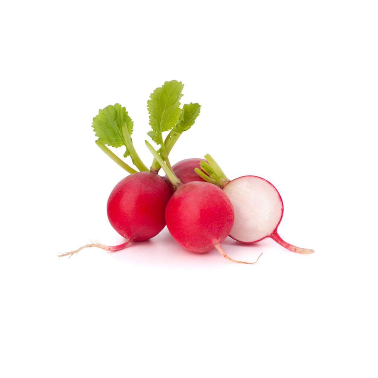 RADISH