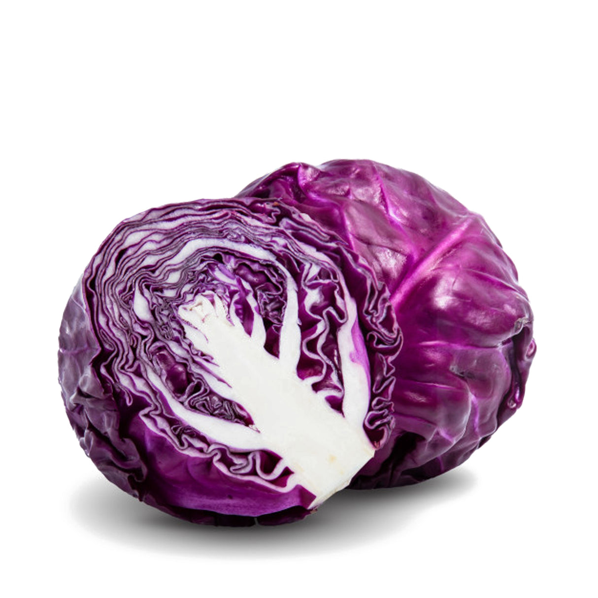 RED CABBAGE