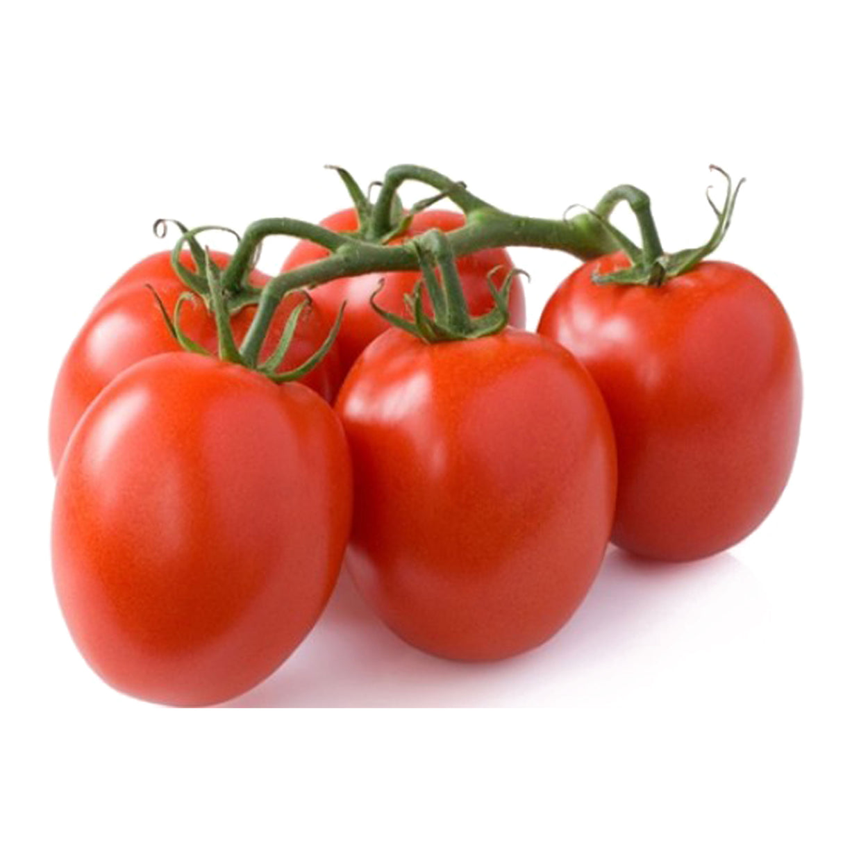 ROMA TOMATO