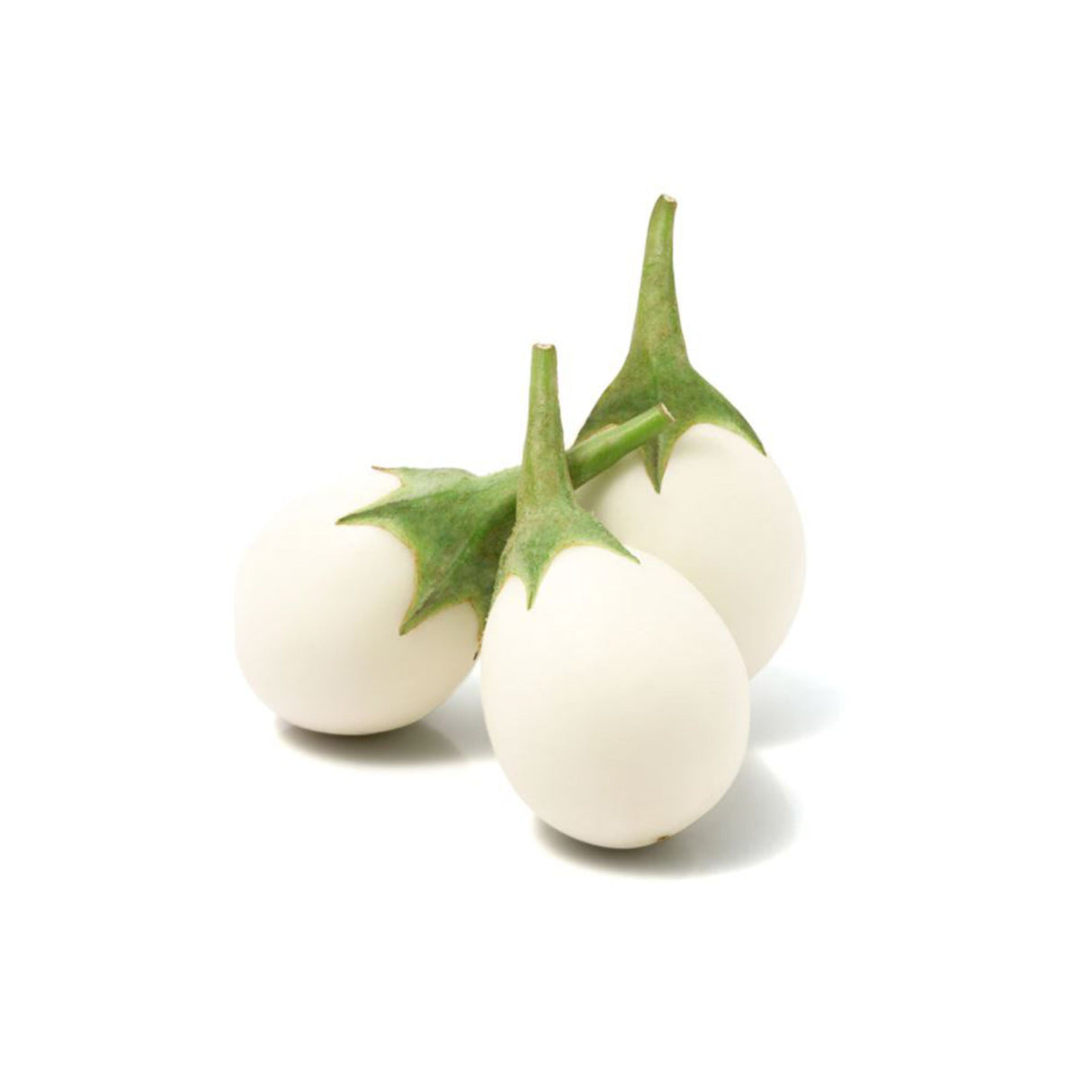 WHITE EGGPLANT