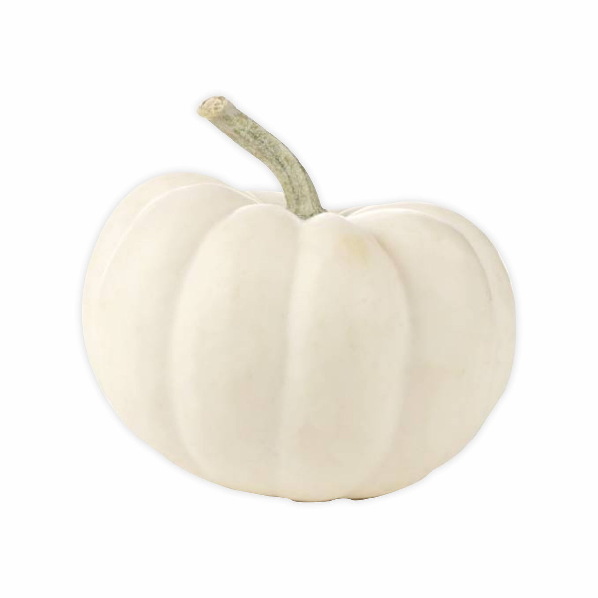 WHITE PUMPKIN