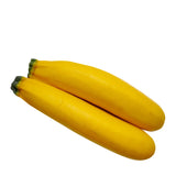 ZUCHINNI YELLOW