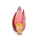 BANANA FLOWER