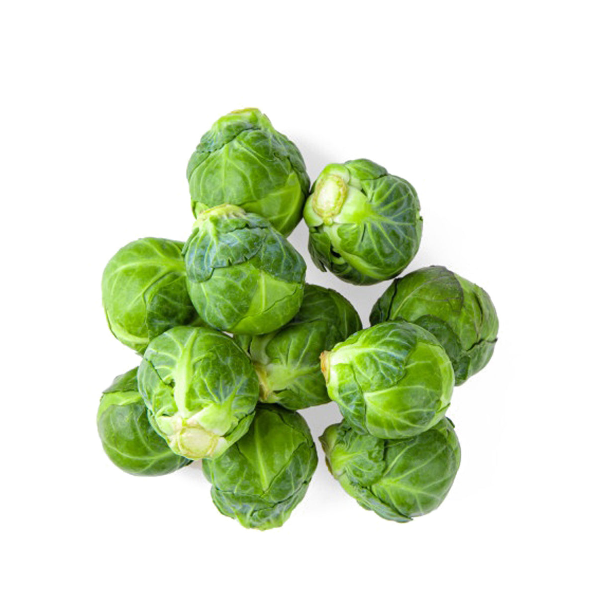 BRUSSEL SPROUTS