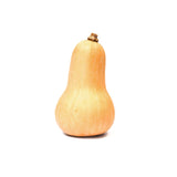 BUTTERNUT SQUASH