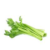 CELERY