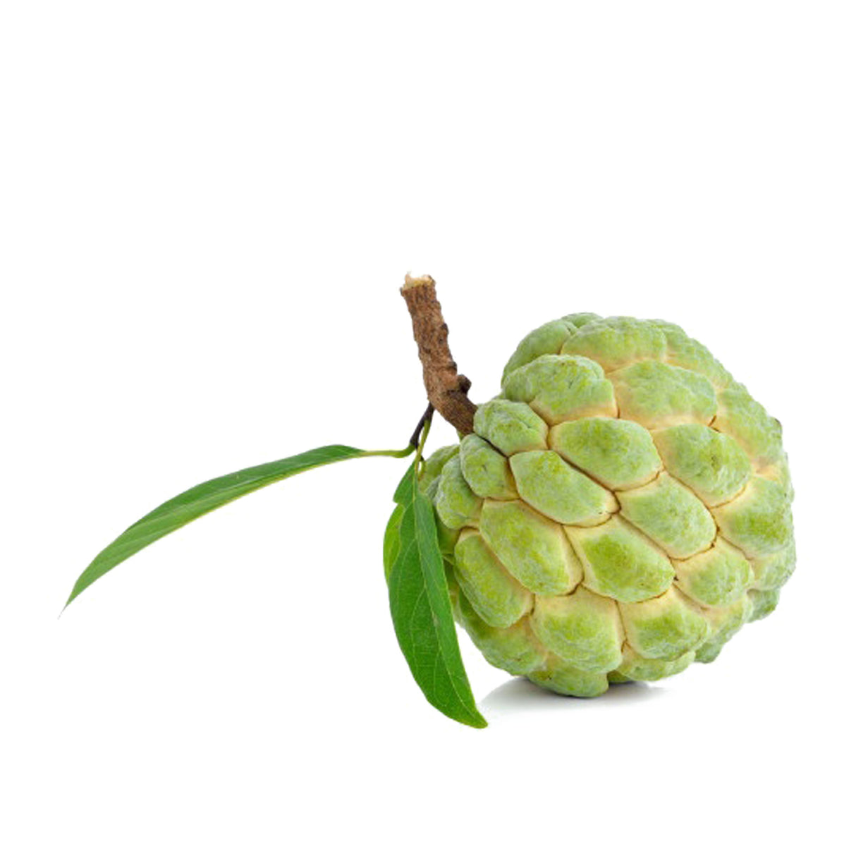 CUSTARD APPLE